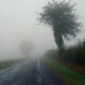 brouillard.png